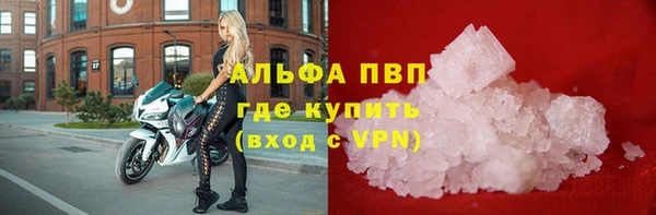 гидра Алзамай