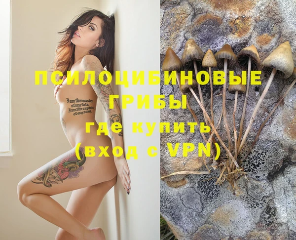 соль курить ск Абаза