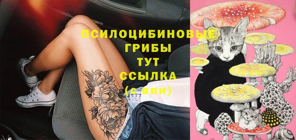 гидра Алзамай