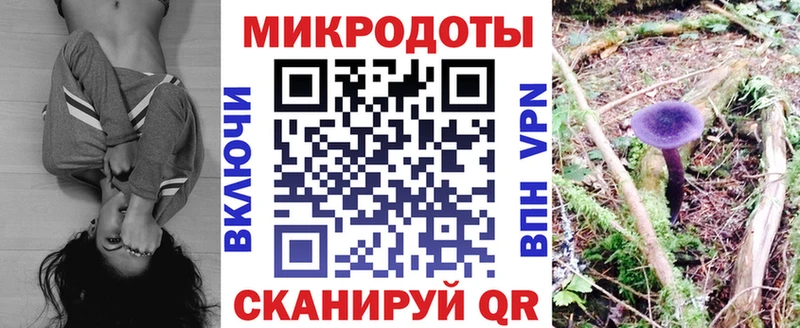 гидра маркетплейс  Кохма  Псилоцибиновые грибы Magic Shrooms 