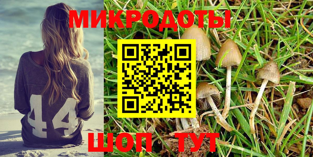 Псилоцибиновые грибы мицелий Кохма