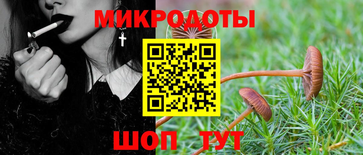 Галлюциногенные грибы мухоморы  Вход с VPN  Галлюциногенные грибы прущие грибы  Кохма 